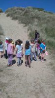 Nature Walk