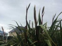 Reaching for the Sky