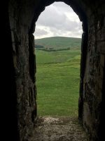 Window with a view