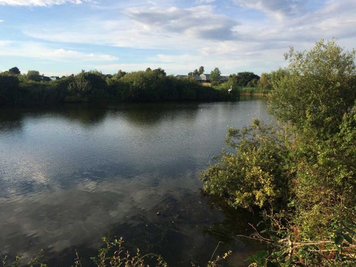 Brickfields Nature Reserve