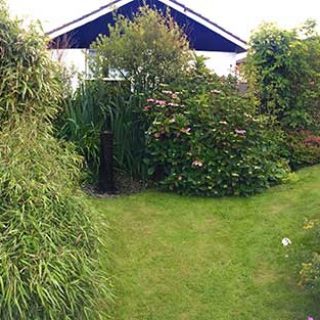 Garden Pano