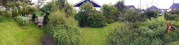 Garden Pano