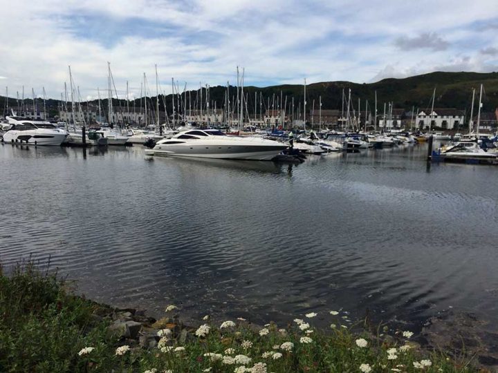 Marina