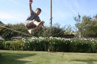 Morgan in Flight