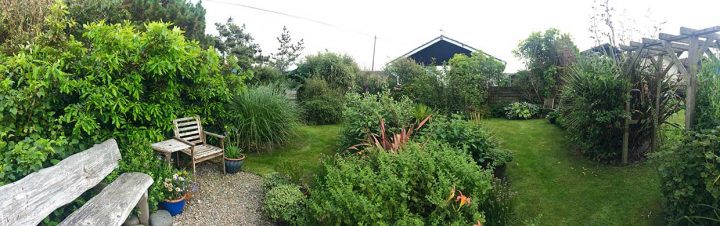 Our Garden