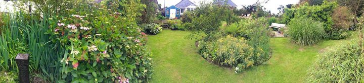 Our Garden looking West