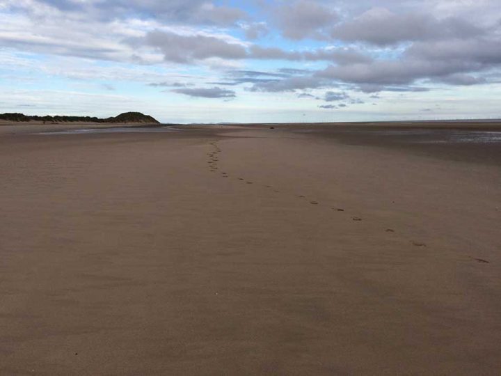 Soft Sands