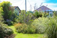 Summer Garden View