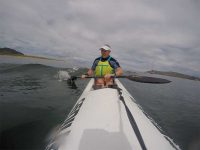 Wake Surfing