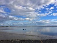 Boats and Buoys