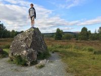 Bruces Stone