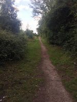 Dog Walking Paths
