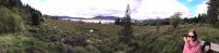 Galloway Forest