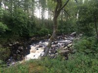 Glentrool
