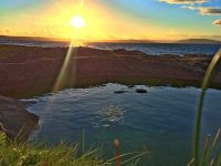 Great Cumbrae Rockpools