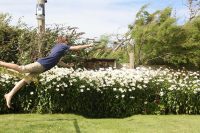 In Flight