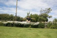 Mid Air Yoga