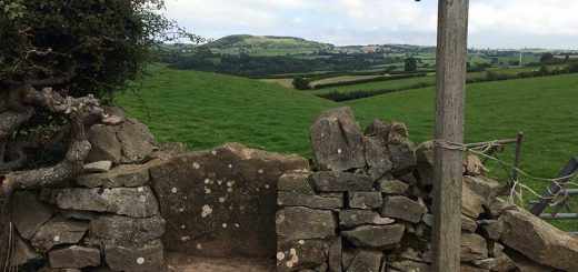Stile and Signs
