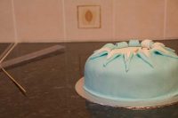 Cake Decorating