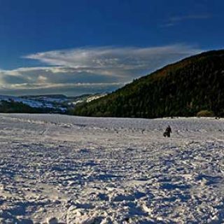 Cerdigion Snow
