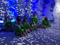 Elftopia