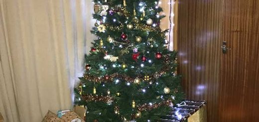 Gifts under the tree