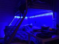 LED Lights