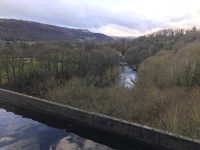 Canal Edge