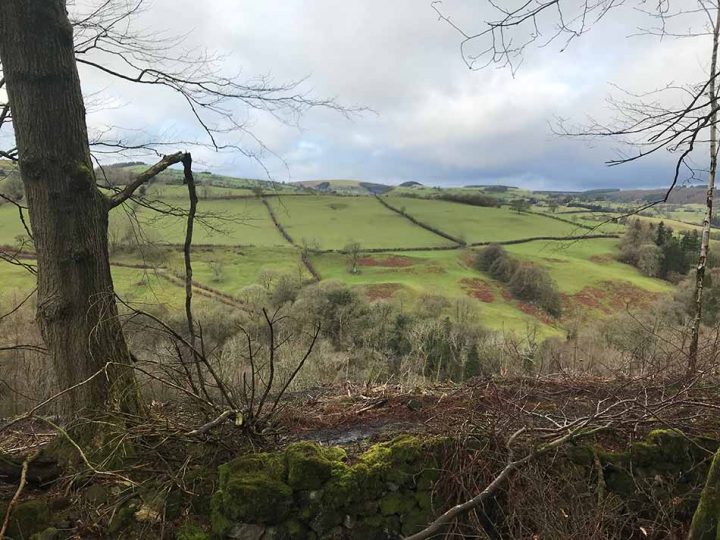 Countryside Views