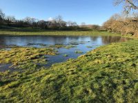 Flooded Fields