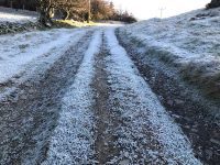 Frosty Trails