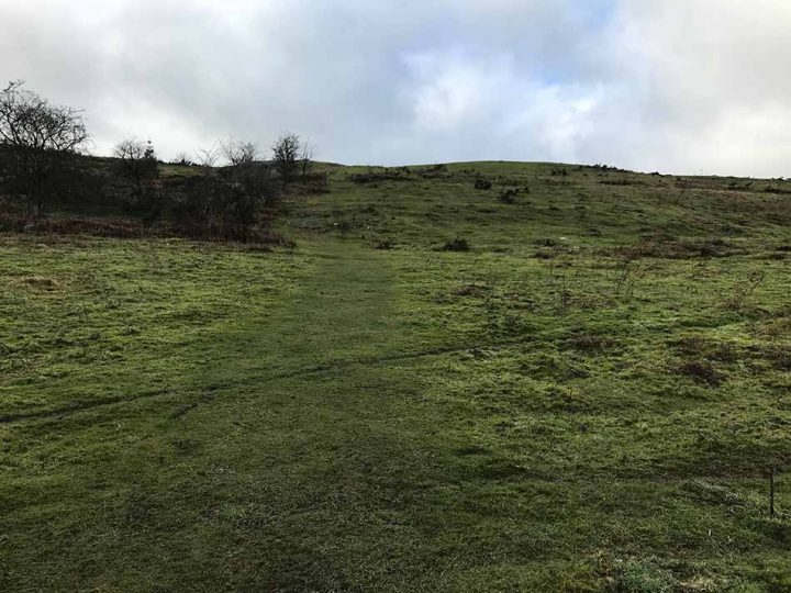 Grassy Hill