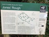Jones' Rough