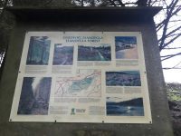 Llandegla Forest