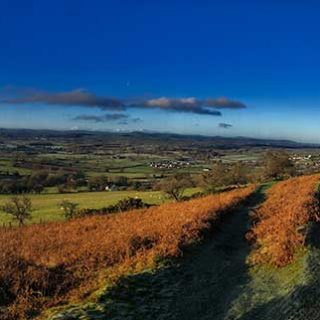 Looking back to Bodfari