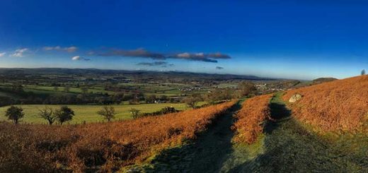 Looking back to Bodfari