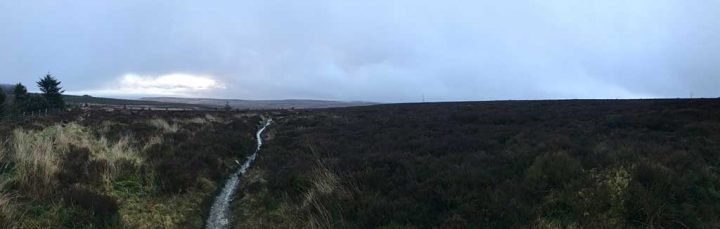 Moorland Pano