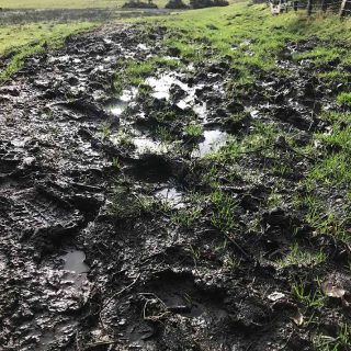 More Mud