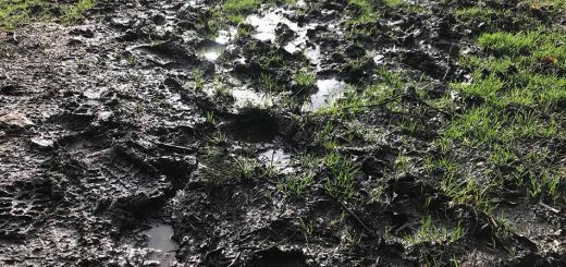 More Mud