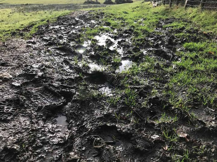 More Mud