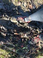 Mud