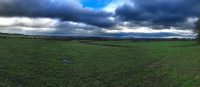 Muddy Fields