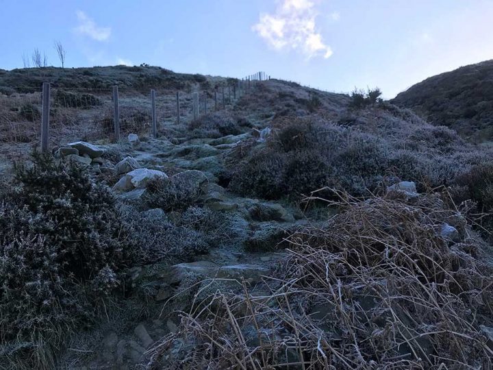 Rocky Slope