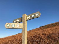 Signposts