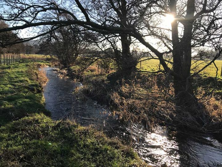 Stream