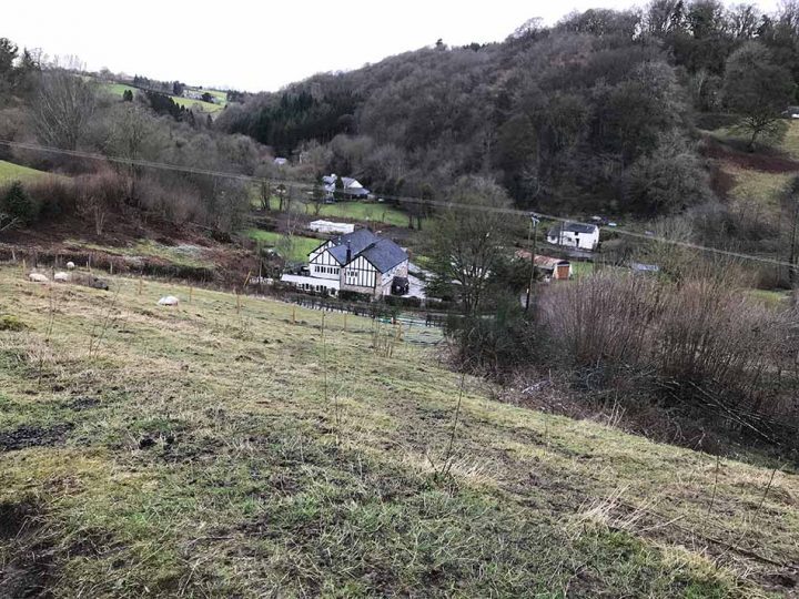 Tyn-y-Coed