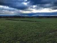 Views into England