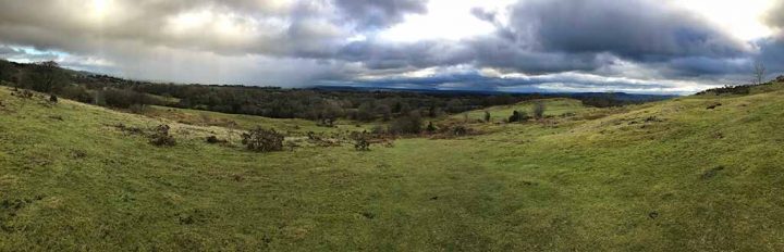 Views to the East