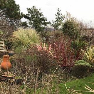 Winter Garden