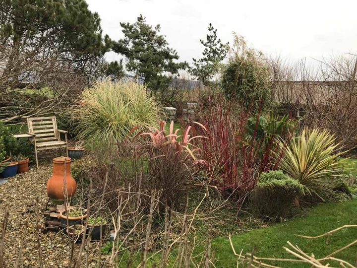 Winter Garden